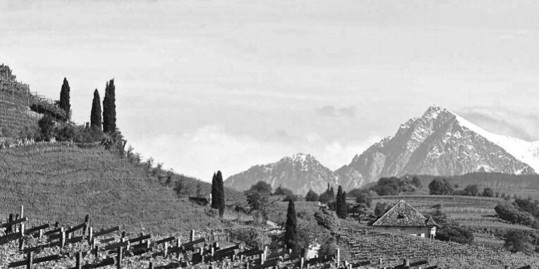 Lageder_Hoernlingen_WineDine