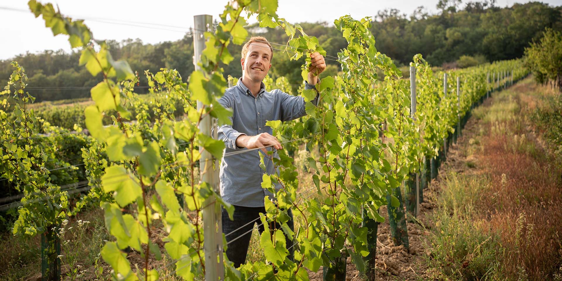 michael-kirchknopf-06